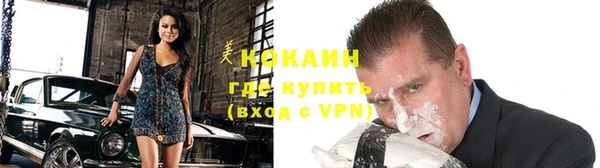 шишки Михайловка