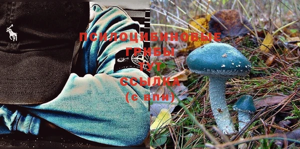 MDMA Дмитровск