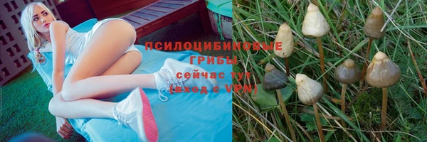а пвп мука Вязники