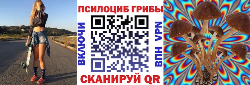 ОМГ ОМГ маркетплейс  купить   Красноармейск  Псилоцибиновые грибы MAGIC MUSHROOMS 