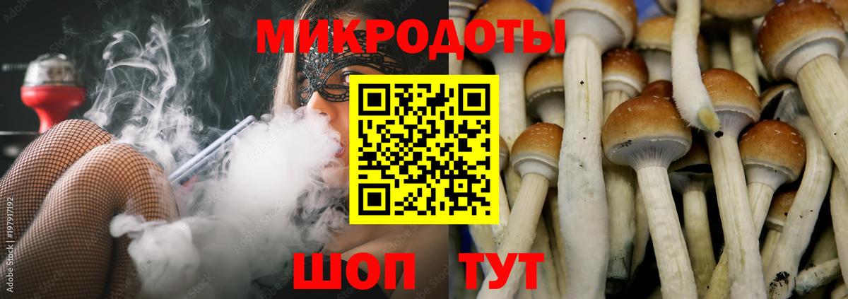 наркота  Галлюциногенные грибы прущие грибы  Вход с VPN  Красноармейск 